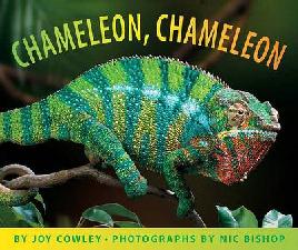 Cover of Chameleon Chameleon