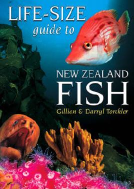 Book Cover of Life-Size Guide to NZ Fish