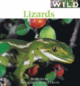 Book Cover of Lizards