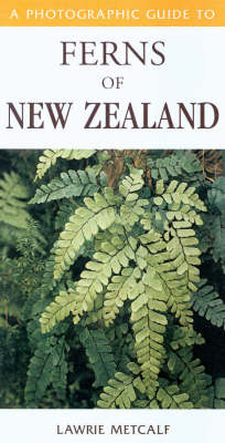 Cover of A photographic guide to ferns of New Zealand