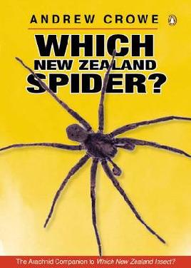 Cover of Which New Zealand Spider?
