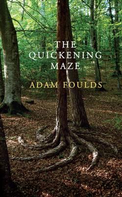 Cover of the Quickening maze