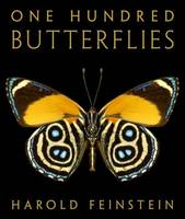 Cover of One Hundred Butterflies