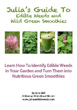 Cover of Julia's guide to edible weeds and wild green smoothies