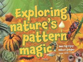 Cover of Exploring nature's pattern magic