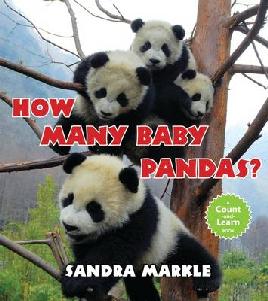 Book cover of How many baby pandas?