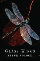 Cover of Glass wings 