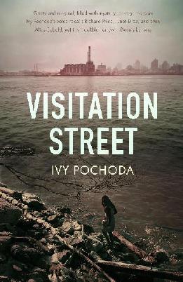 Cover of Visitation Street