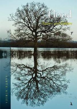 Book cover of flood