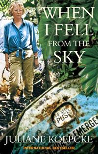 Cover of When I Fell From the Sky