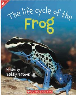 Book Cover of The Life Cycle of the Frog