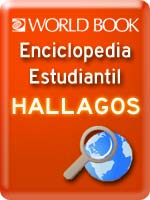 World Book Enciclopedia Estudiantil Hallazgos